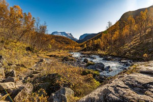 Creek in Norway