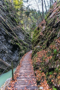 Scenic trail no. 2