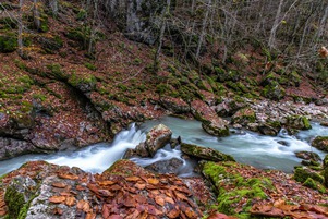Scenic trail no. 3