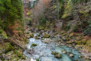 Scenic trail no. 4