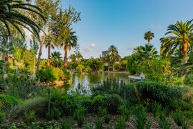 Tropical Ciutadella
