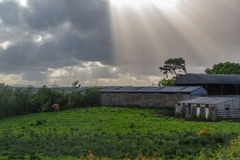 Farmland in Ireland