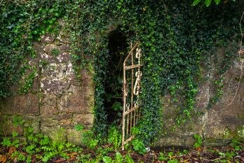 Door to...?