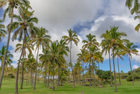 Anakena Beach