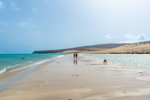 Playa de Sotavento de Jandia #13