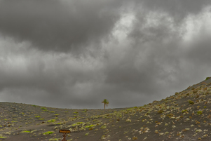 Parque Natural de Los Volcanes #2