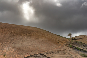 Parque Natural de Los Volcanes #6