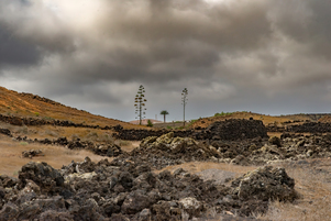 Parque Natural de Los Volcanes #16